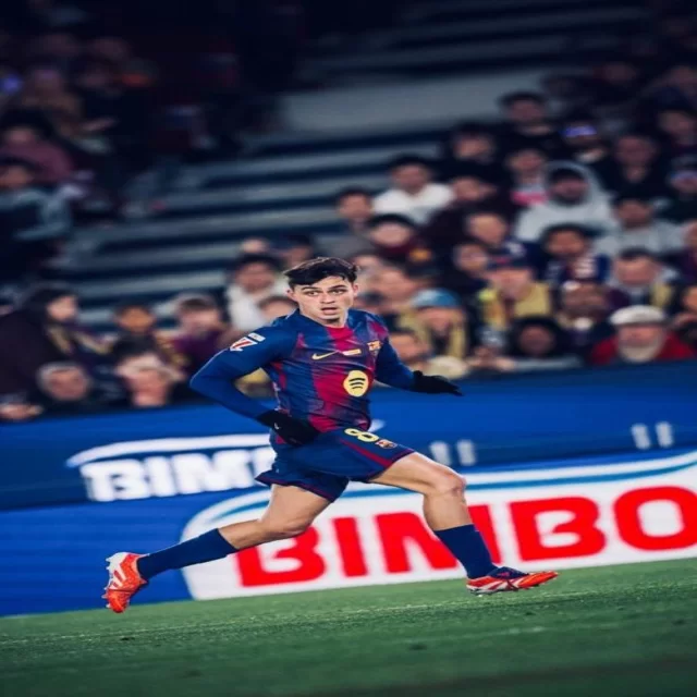 年轻化视角的媒体关注焦点全景盘点分析